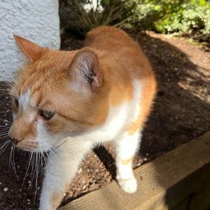 Meet your Posher, Nick